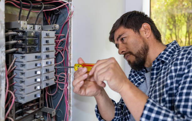 Best Ceiling Fan Installation Electrician  in Rosemount, OH